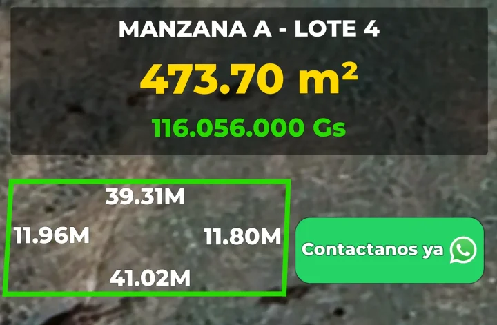 Lote 4